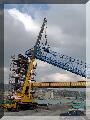 volpe t 80 imbarco molo levante.jpg